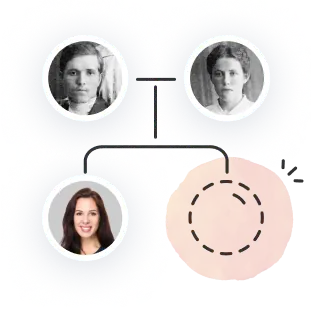 Build your family tree